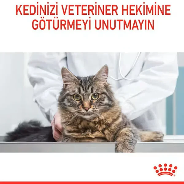 Royal Canin Hair&Skin Hassas Tüylü Kedi Maması 10 kg - 4