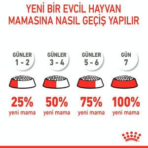 Royal Canin Hair&Skin Hassas Tüylü Kedi Maması 10 kg - 3