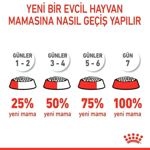 Royal Canin Hair&Skin Hassas Tüylü Kedi Maması 10 kg - 3