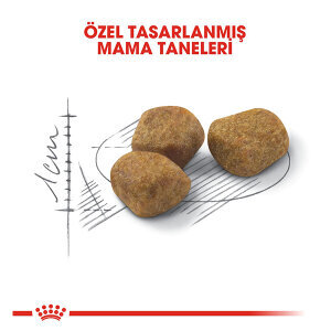 Royal Canin İndoor Yaşlı Kedi Maması 1.5 KG - 2