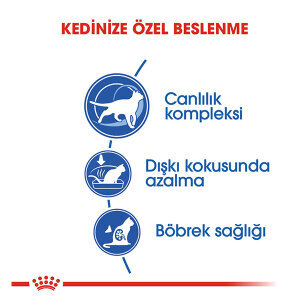 Royal Canin İndoor Yaşlı Kedi Maması 3.5 KG - 3