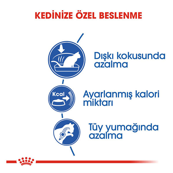 Royal Canin İndoor Kedi Maması 2 KG - 3