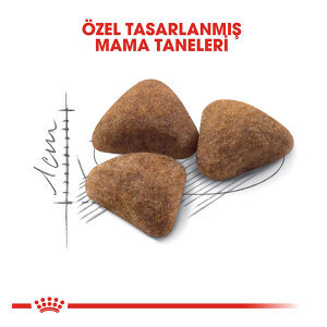 Royal Canin İndoor Kedi Maması 2 KG - 2