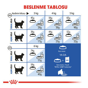 Royal Canin İndoor Kedi Maması 2 KG - 4