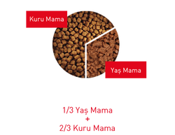 Royal Canin İnstinctive Gravy Kedi Yaş Maması 85 GR - 4
