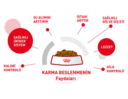 Royal Canin İnstinctive Gravy Kedi Yaş Maması 85 GR - 5