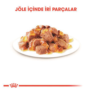Royal Canin Hair&Skin Jelly Kedi Yaş Maması 85 GR * 12 ADET - 2