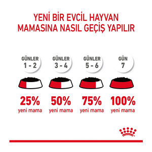 Royal Canin Hair&Skin Jelly Kedi Yaş Maması 85 GR - 4
