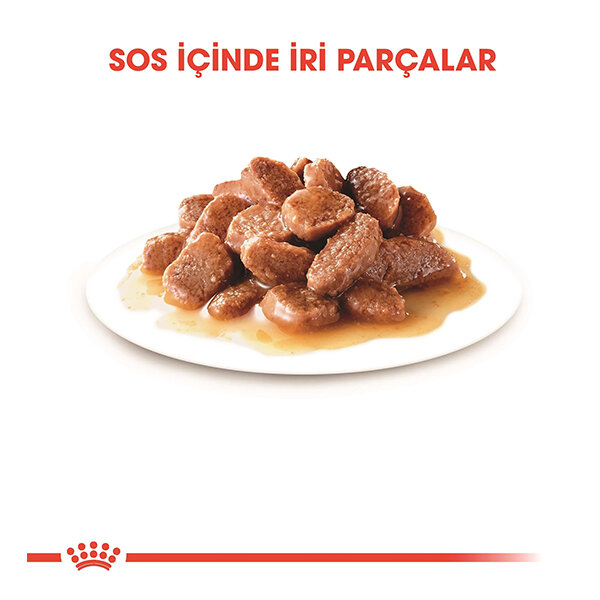 Royal Canin Hair&Skin Gravy Kedi Yaş Maması 85 gr * 12 Adet - 2