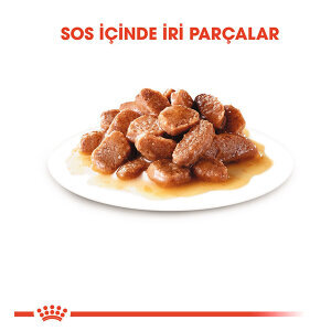 Royal Canin Hair&Skin Gravy Kedi Yaş Maması 85 gr - 2