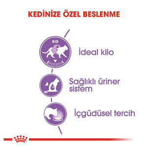 Royal Canin Sterilised Jelly Kısırlaştırılmış Kedi Yaş Maması 85 GR*12 Adet - 3