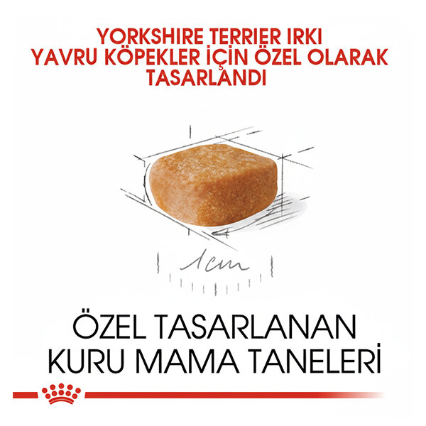 Royal Canin Junior Yorkshire Terrier Yavru Köpek Maması 1.5 kg - 2