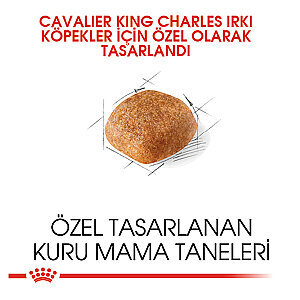 Royal Canin Cavalier King Charles Köpek Maması 1.5 kg - 2