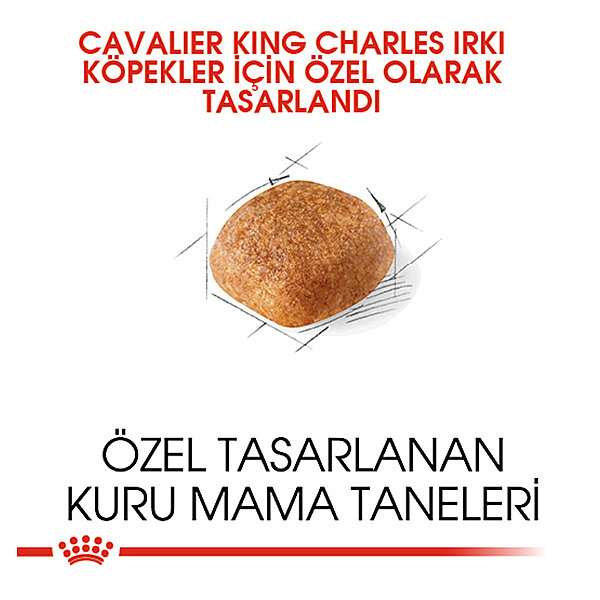 Royal Canin Cavalier King Charles Köpek Maması 1.5 kg - 2