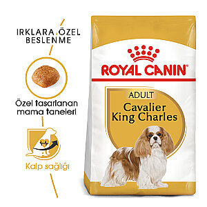 Royal Canin Cavalier King Charles Köpek Maması 1.5 kg