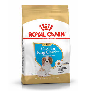 Royal Canin King Charles Yavru Köpek Maması 1.5 kg - 6