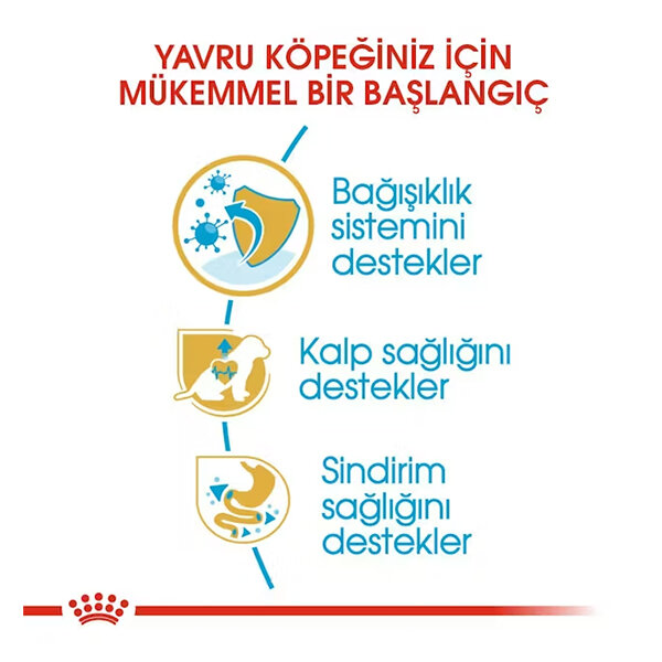 Royal Canin King Charles Yavru Köpek Maması 1.5 kg - 3