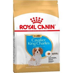 Royal Canin King Charles Yavru Köpek Maması 1.5 kg