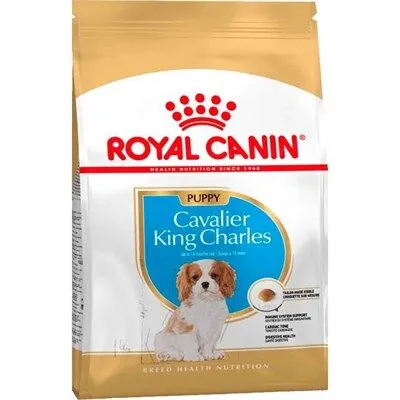 Royal Canin King Charles Yavru Köpek Maması 1.5 kg - 1