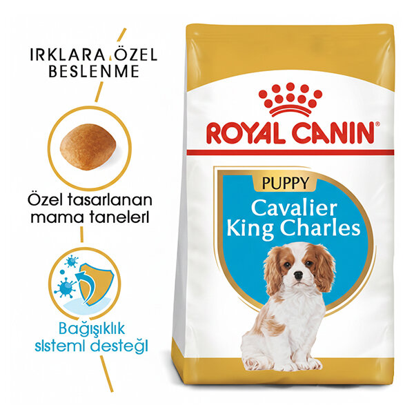Royal Canin King Charles Yavru Köpek Maması 1.5 kg - 2