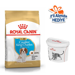 Royal Canin King Charles Yavru Köpek Maması 1.5 kg