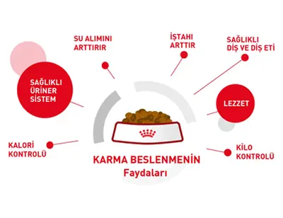 Royal Canin Kitten Gravy İnstinctive Yaş Kedi Maması 85 GR - 5