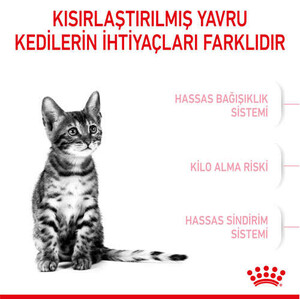 Royal Canin Kitten Sterilised Kısırlaştırılmış Yavru Kedi Maması 2 Kg - 2