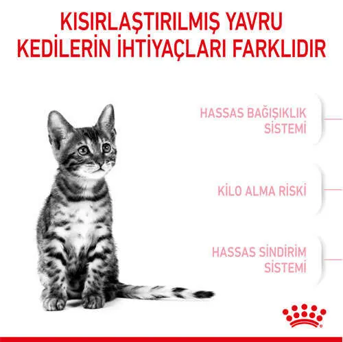 Royal Canin Kitten Sterilised Kısırlaştırılmış Yavru Kedi Maması 2 Kg - 3