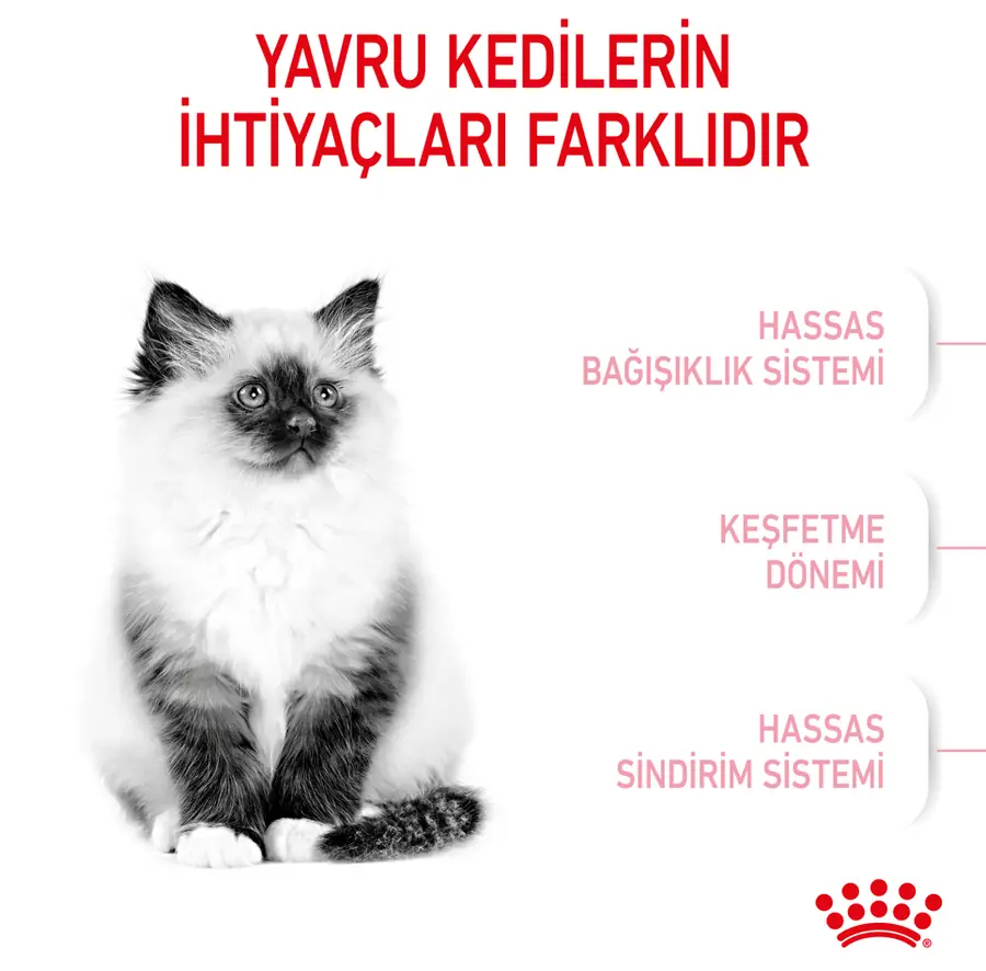 Royal Canin Kitten Yavru Kedi Maması 2 KG - 5
