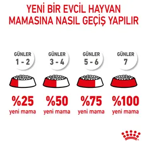 Royal Canin Kitten Yavru Kedi Maması 2 KG - 8