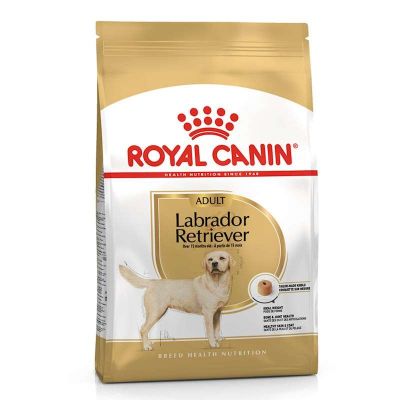 Royal Canin Labrador Retriever Köpek Maması 12 Kg - 1