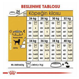 Royal Canin Labrador Retriever Köpek Maması 12 Kg - 4