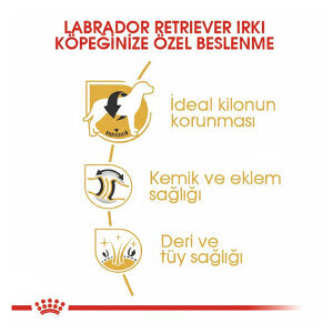 Royal Canin Labrador Retriever Köpek Maması 12 Kg - 3