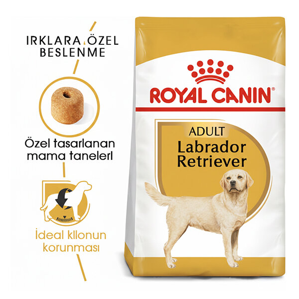 Royal Canin Labrador Retriever Köpek Maması 12 Kg - 1