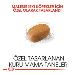 Royal Canin Maltese Terrier Köpek Maması 1.5 kg - 3