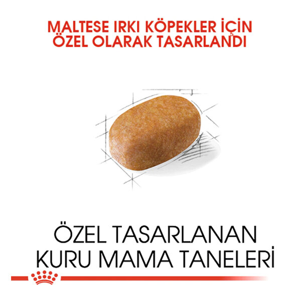 Royal Canin Maltese Terrier Köpek Maması 1.5 kg - 3
