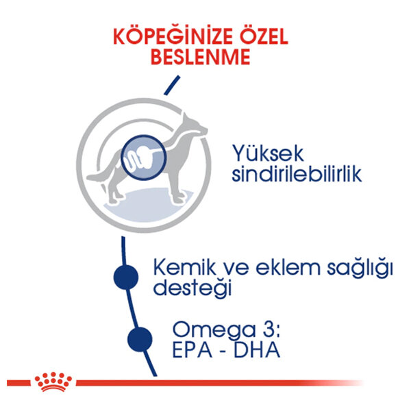 Royal Canin Maxi Adult Büyük Irk Köpek Maması 15 KG - 4