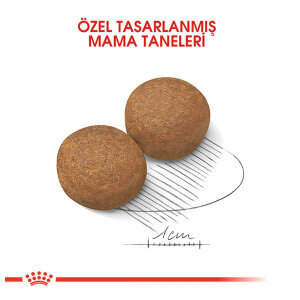 Royal Canin Maxi Adult Büyük Irk Köpek Maması 15 KG - 2