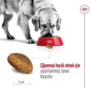 Royal Canin Maxi Adult Büyük Irk Köpek Maması 15 KG - 7