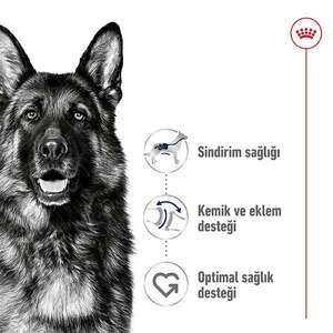 Royal Canin Maxi Adult Büyük Irk Köpek Maması 15 KG - 9