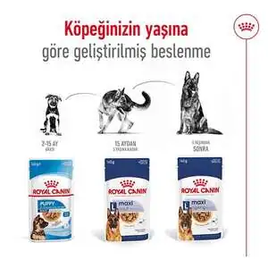 Royal Canin Maxi Adult Yaş Köpek Maması 140 gr - 7