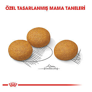 Royal Canin Maxi Dermacomfort Yetişkin Köpek Maması 12 Kg - 2
