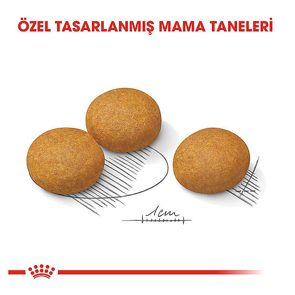 Royal Canin Maxi Dermacomfort Yetişkin Köpek Maması 12 Kg - 2