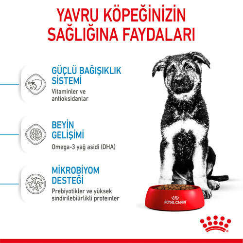 Royal Canin Maxi Junior Yavru Köpek Maması 15 KG - 3