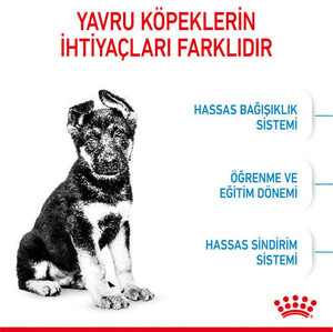 Royal Canin Maxi Junior Yavru Köpek Maması 15 KG - 5