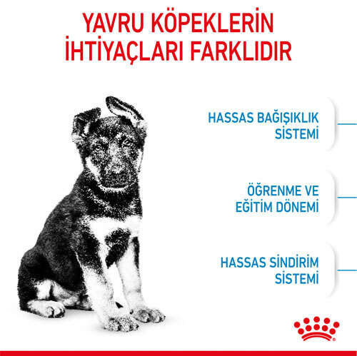 Royal Canin Maxi Junior Yavru Köpek Maması 15 KG - 5