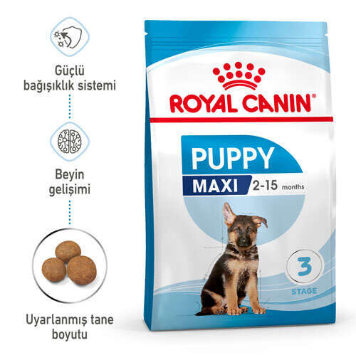 Royal Canin Maxi Junior Yavru Köpek Maması 15 KG - 1