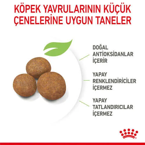 Royal Canin Maxi Junior Yavru Köpek Maması 15 KG - 4