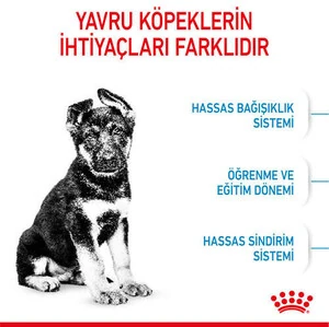 Royal Canin Maxi Junior Yavru Köpek Maması 15 KG - 6