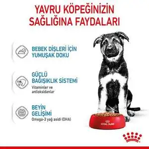 Royal Canin Maxi Puppy Yaş Yavru Köpek Maması 140 gr - 4